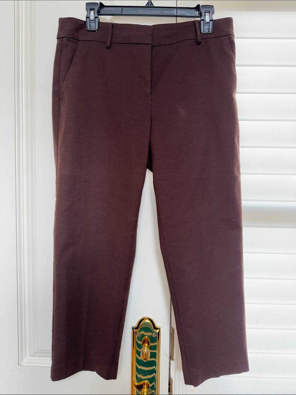LOFT The Riviera Slim Pants in Deep Brown Size 8P Curvy Fit